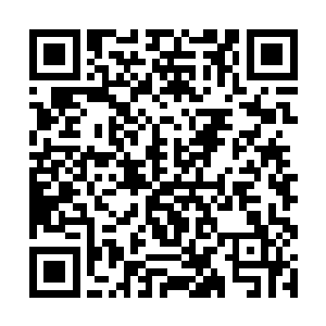 没等我和白奇雪应声她就直接转身头也不回地走掉了二维码生成