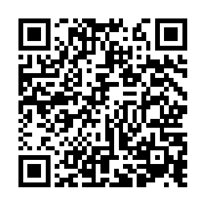 没见过土石房屋的小部落人此时脑中就如开了窍般二维码生成