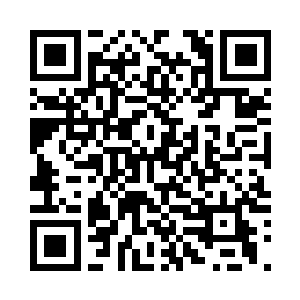 没过多久地上就积攒了一堆的粉果皮二维码生成