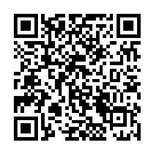 沧桑中年有些不敢置信的看着那已被对方洞穿的胸口二维码生成