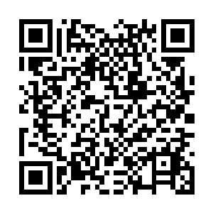 沪市东星传媒集团有限公司1o%股权拍卖会正式开始二维码生成