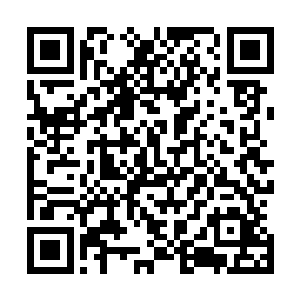 河中上游的航母巨兽带着众多善于水中作战的神兽也发动了二维码生成