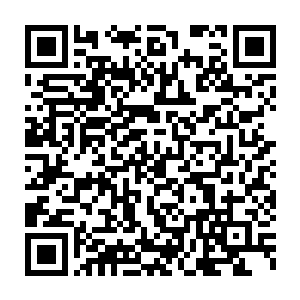 河滩上的凹陷处也被抹平――这对恢复了一些力量的传奇巫师来说二维码生成