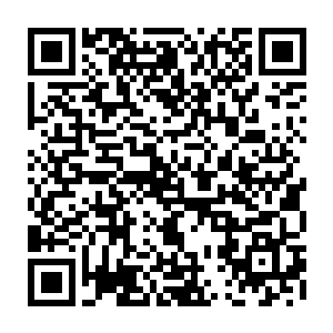 油条和捣蛋鬼现在虽然身体变的比原来小了一半不过这智商真的是蹭蹭的往上走二维码生成