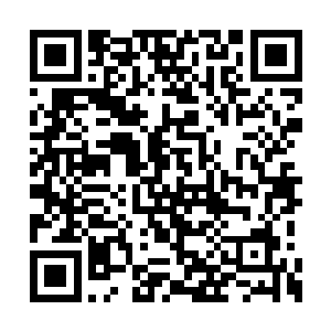 泉柏说是千年炎角的人来没来到这里的时候画的二维码生成