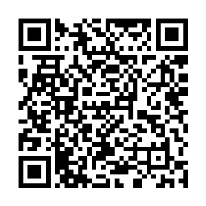 法力亦因御使神珍灭仙剑强行施展九种不同剑式和意境二维码生成