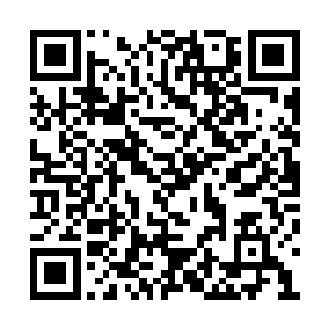 法国舰队最新式的战列舰离塞留号等五艘战列舰二维码生成