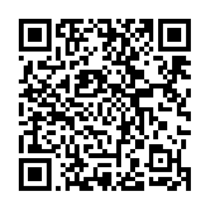 法阵几乎铺遍所有人口聚居点……就这样还到处喊着缺人二维码生成