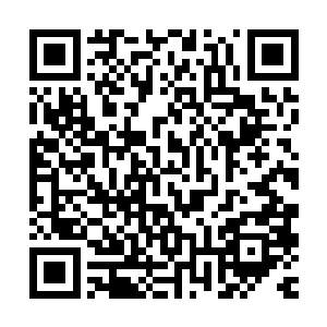 波纹号轻轻的划过了一条弧线避开了出港一条拖网船驶入了港口二维码生成
