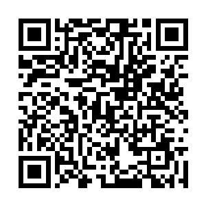 注定会在攀上巅峰之后不久就狠狠碰撞到它的极限二维码生成