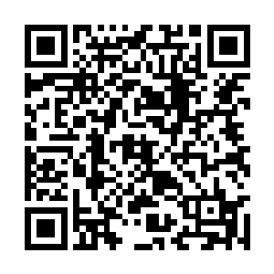注意力终于从钟杨颖身上转移到了他们两人的身上二维码生成
