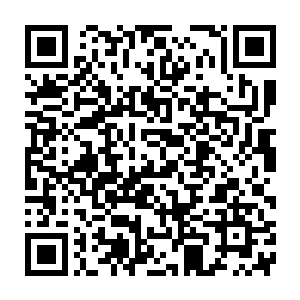泰花公司正好找到了一家愿意独家为自己代理开拓市场的因坦纳公司二维码生成