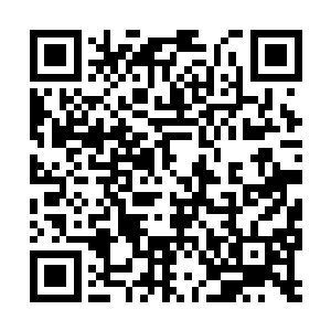 洒迭凉飕飕的补充让流墨墨他们的疑惑得到了解答二维码生成