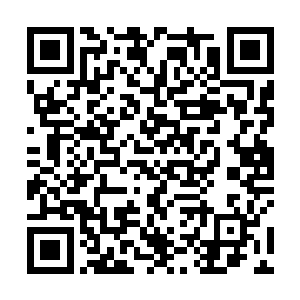 洒迭随即就转头去看其他的意柳分身们协助新人们成长二维码生成