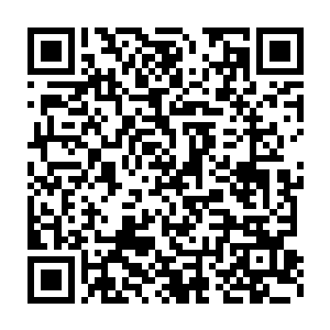 洗干净之后就用泥巴将他们包起来照着地球上的叫化鸡的作法做了起来二维码生成