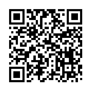 洛倾婉捏了把司辰的胖嘟嘟的小脸蛋二维码生成