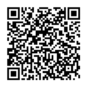 洛克坐在一旁的沙发上耐心的欣赏着眼前的这场高手与高手之间的格斗二维码生成