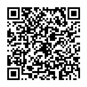 洛天星的所有体检数据全都比洛天星本人更快一步地传送到了盛京的总院二维码生成