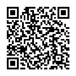 洛悠悠一回头便看到夏子楚摇着他把折扇刚从醉仙楼的楼上下来二维码生成