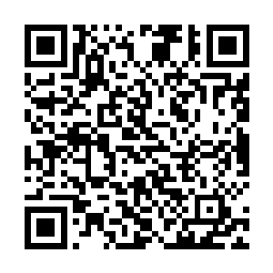 洛悠悠摸了摸蛋蛋的脑袋搬出来的确是她弄得太仓促了二维码生成