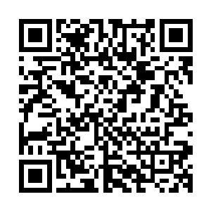 洛水嫣还有苏媛媛早就已经被鬼王萧腾安排在了其他的地方了二维码生成