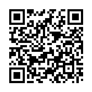 洛水拍卖行是洛水城最大的拍卖行二维码生成