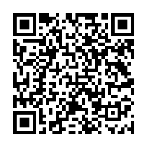 洛水金盾是洛水城四大家族联合城主府颁布的最高荣誉二维码生成