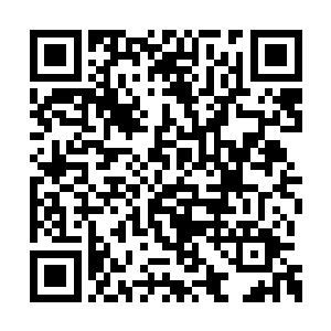 洛离同时委托宗门为自己那灵蝶宗的外室方映雪二维码生成