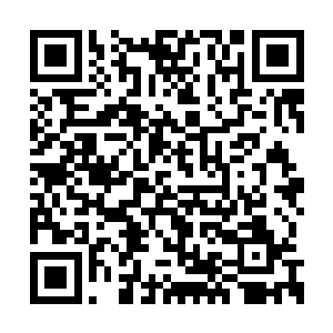 洛离特意的在自己的太初洞天中构建了一条石脉二维码生成