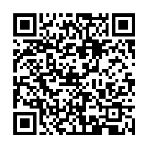 洛花花看着蛋蛋捏着陈夫子的衣服那叫一个嫉妒啊二维码生成