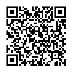 洞天福地的强者们这才能避免被超级大阵的威能牵制二维码生成