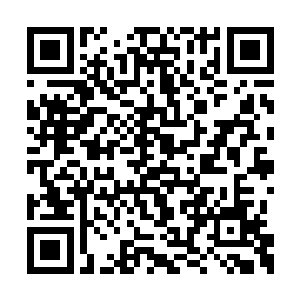 洪大力也会非常非常痛快的直接用钱把对方砸死二维码生成