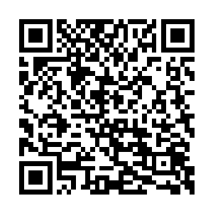 洪大力去地球与虫族作战的事情你是知道的对吧二维码生成