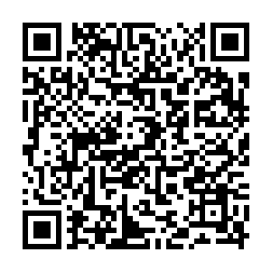 洪大力唐慕馨林初音等几个人穿着泳装带着墨镜躺在大白鲨小白的后背上二维码生成