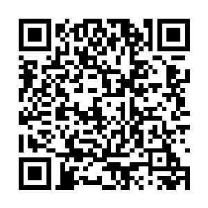 洪大力的这辆改造劳斯莱斯出了高速出站口的时候二维码生成