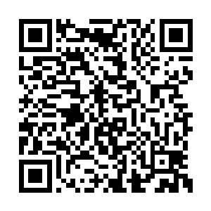 洪大力笑嘻嘻的掰着手指头数身边认识的这些人二维码生成