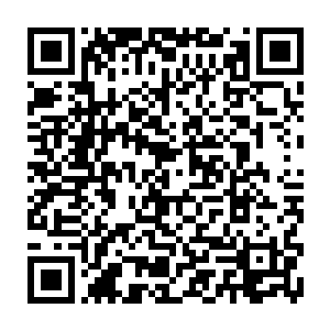 洪大力等六人跟着那宝石龙的人型投影进了宝石龙那巨大的嘴巴里面之后二维码生成