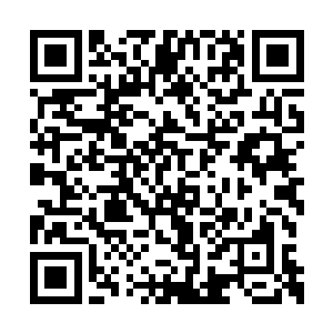 洪桐抽丝剥茧的理性分析让向文东也是叹为观止二维码生成