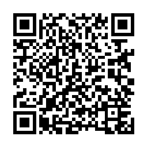 洪涛从妮娜给他发回来的一份已知在美国上市的公司名录里二维码生成