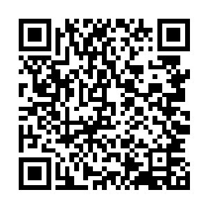 洪涛将会自己出钱从秀水贸易公司那边再进一批新的补充上二维码生成