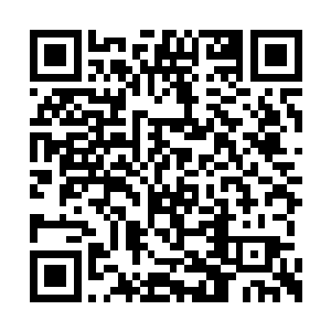 洪涛觉得自己从来也没有这么需要过这个尤里娅二维码生成