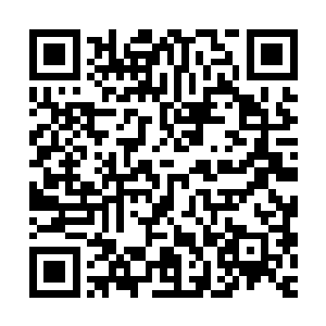 洪玉昆一边让樱桃园中采摘樱桃的那些贞女们行礼之后继续干活二维码生成