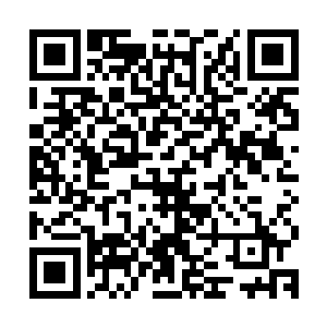 洪长海亲自率领着以两个弟子为首的二十人从远处山坡驰骋而来二维码生成