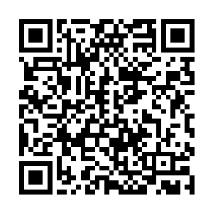 活跃于这个世界各处角落的人仿佛沸腾了各自的血液二维码生成