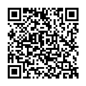 派了上千的鬼道禁卫进入血海中寻找那艘幽灵船二维码生成