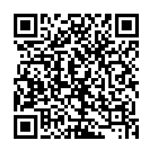 流墨墨严肃的指着在一旁尴尬不已的紫涟漪和若相离说道二维码生成