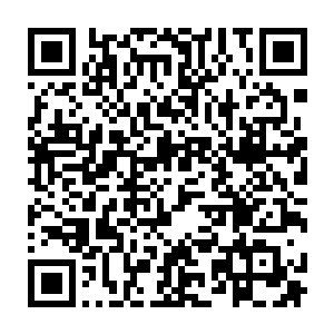 流墨墨从海胆手中花了大价钱得到了一份关于护卫者营地所有护卫系海族的情报二维码生成