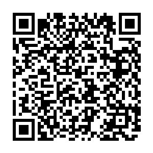 流墨墨伸手探了探一旁的白色蛋壳里面节奏有力的心跳立即传到她的手上二维码生成