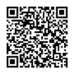 流墨墨只觉得自己的后背和两条腿都被砸肿的不像是自己的了~二维码生成