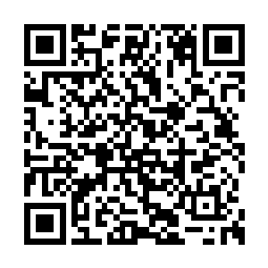 流墨墨只转头看向在人群中的几只人形植物说道二维码生成